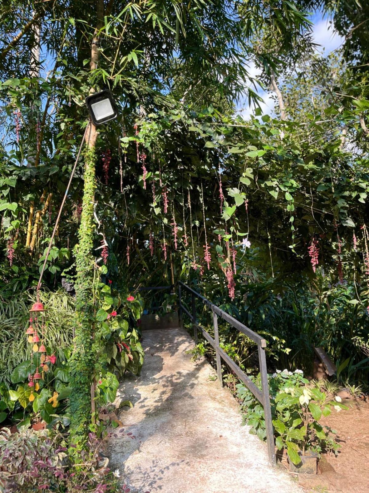 Lush Acres Villa Thekkady Ngoại thất bức ảnh