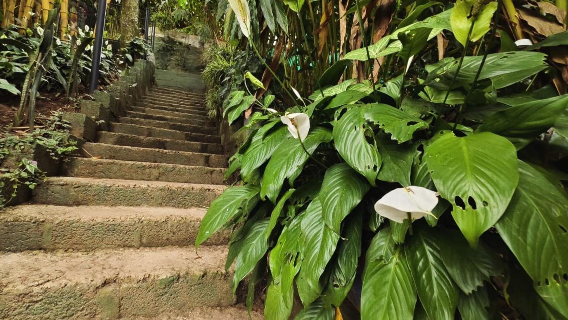 Lush Acres Villa Thekkady Ngoại thất bức ảnh